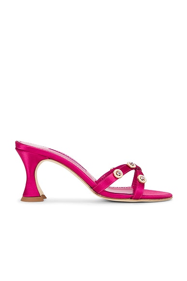 Manolo Blahnik Pyrenea 70 Mule in Dark Pink