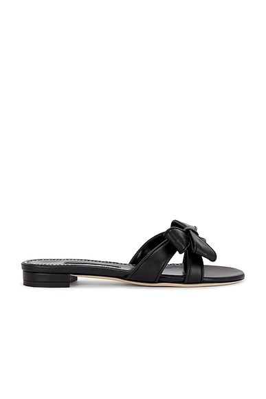 Manolo Blahnik Cafredda Flat in Black