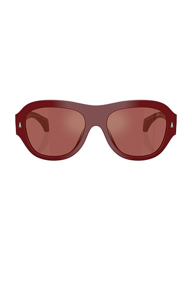 Elevane Sunglasses