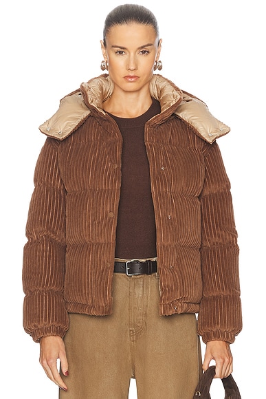 Moncler Daos Jacket in Brown