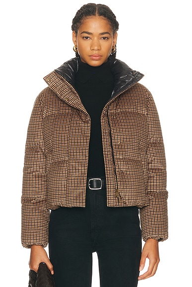 Moncler Quierzy Jacket in Dark Yellow