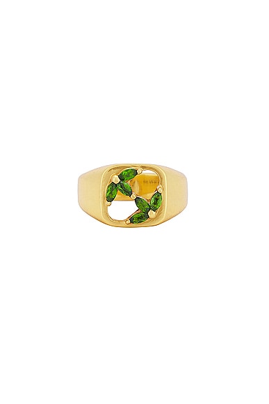 MAPLE 3am Signet Ring in 14k Gold Plated