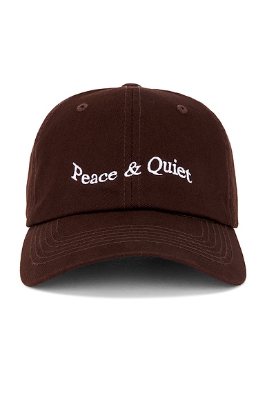 Museum of Peace and Quiet Wordmark Dad Hat in Clay