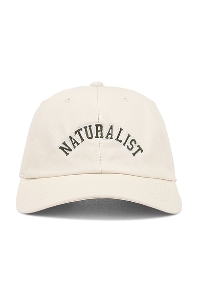Museum of Peace and Quiet Naturalist Dad Hat in Bone
