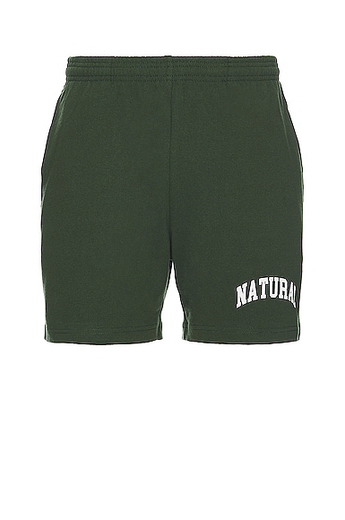 Museum of Peace and Quiet Natural Sweat Shorts in Forest