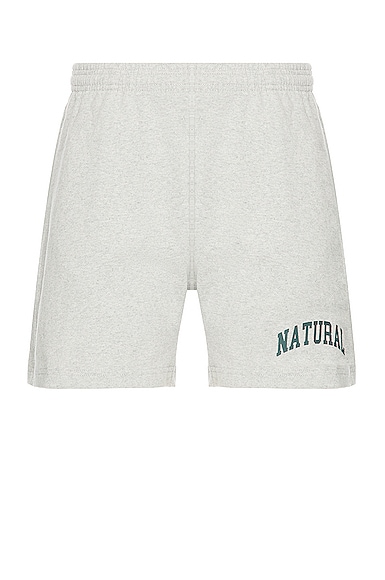 Museum of Peace and Quiet Natural Sweat Shorts in Heather