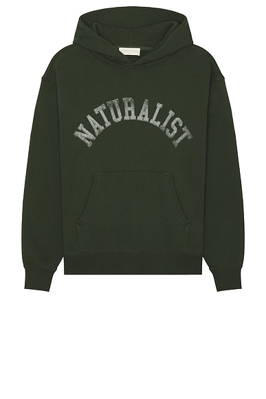 Museum of Peace and Quiet Naturalist Hoodie in Forest
