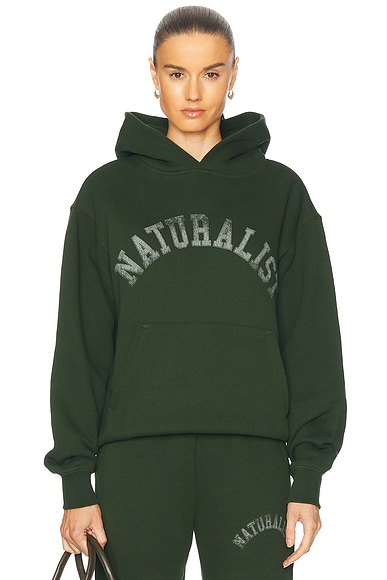 Museum of Peace and Quiet Naturalist Hoodie in Forest
