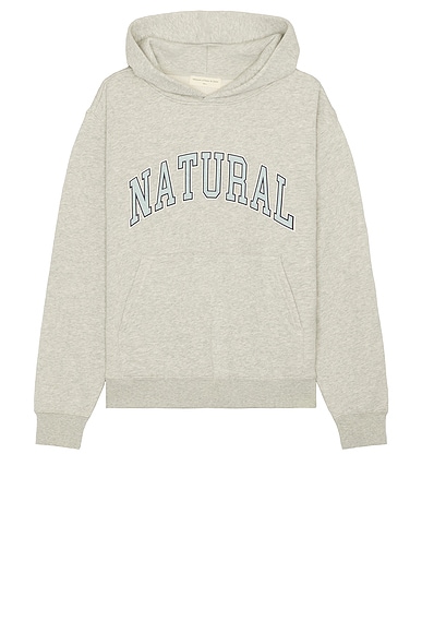 Museum of Peace and Quiet Natural Hoodie in Ash