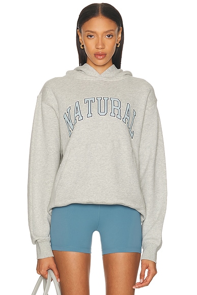 Museum of Peace and Quiet Natural Hoodie in Ash