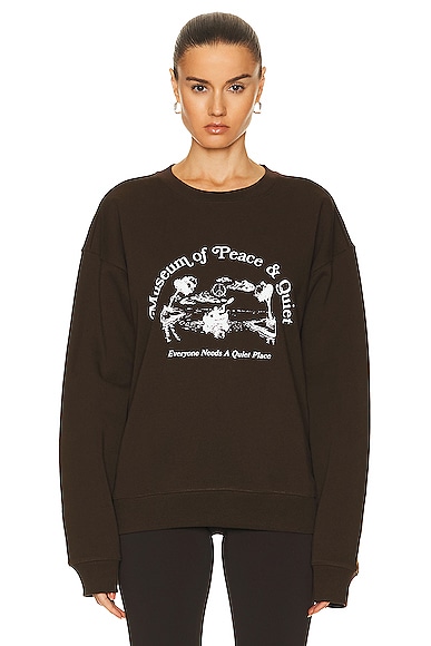 Museum of Peace and Quiet Place Sweater in Brown