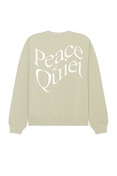 Museum of Peace and Quiet Warped Sweater in Sage