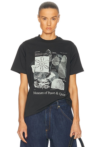 Fibonacci T-Shirt
