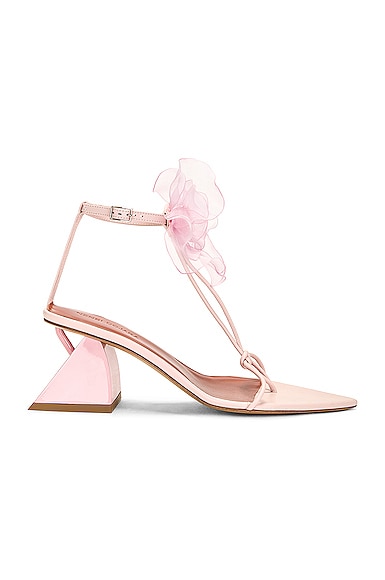 Nensi Dojaka Point Toe Soft Leather T-strap Sandals With Flower Applicati In Rosa