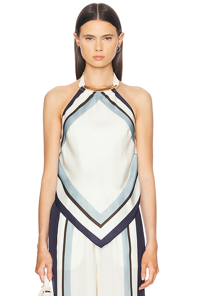 Skye Halter Gold Neck Piece Top