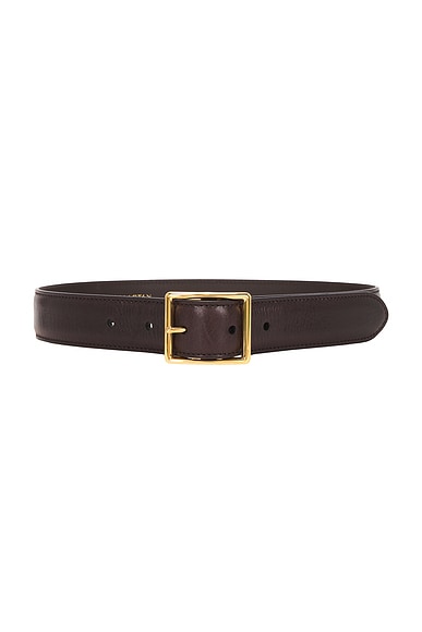 Gabriele Belt in Espresso & Antique Gold