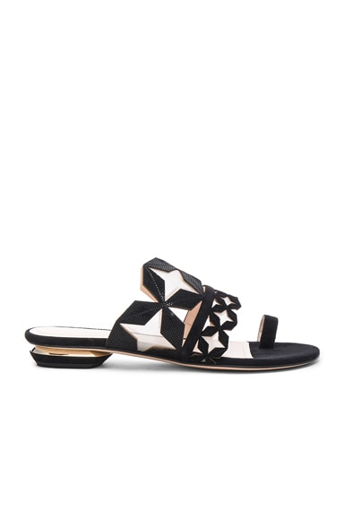 Suede Stella Sandals