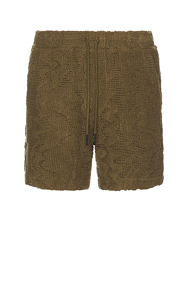 Pine Verve Crochet Shorts