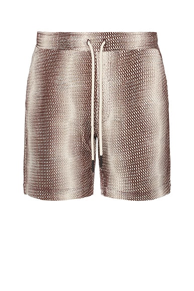 Merlot Echo Net Shorts