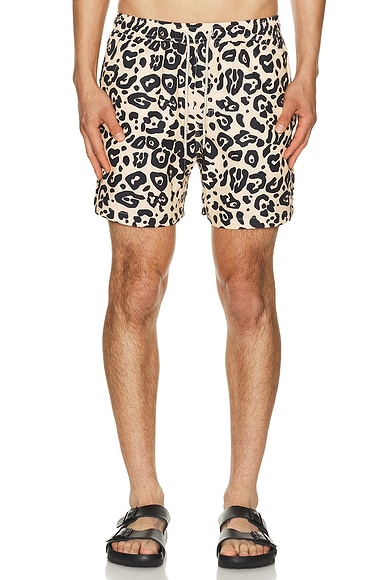 Leo Swim Shorts