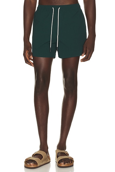 Calo Swim Shorts