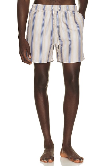 Gelato Swim Shorts