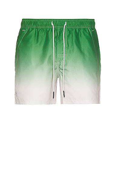 OAS Beach Grade Swim Shorts in Green &White