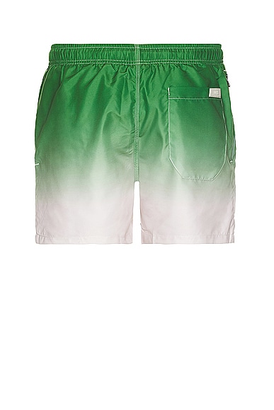 Shop Oas Beach Grade Swim Shorts In Green &white