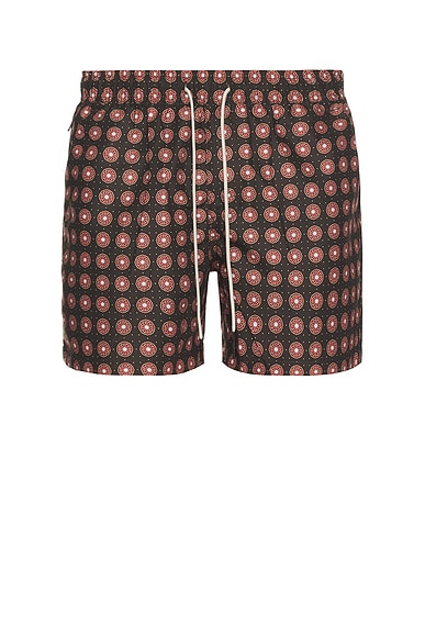 Coffee Lumo Swim Shorts