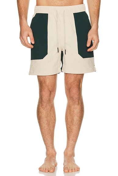Rex Swim Shorts