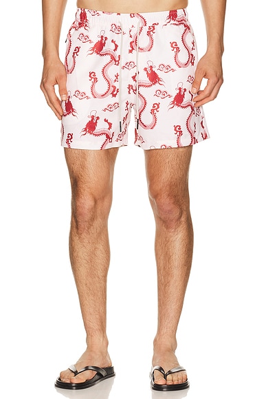 Nimbus Swim Shorts