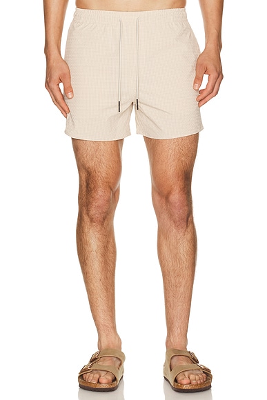 Calo Swim Shorts