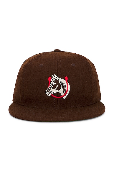 ONE OF THESE DAYS Ebbets Wool Hat in Brown