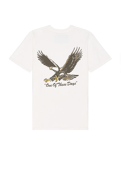 ONE OF THESE DAYS Screaming Eagle Tee in Bone