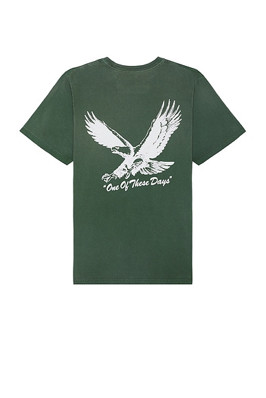 Shop One Of These Days Screaming Eagle Tee In Washed Forest Green