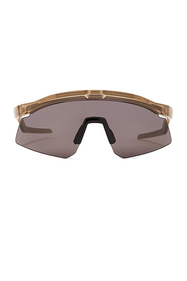 Hydra Sunglasses