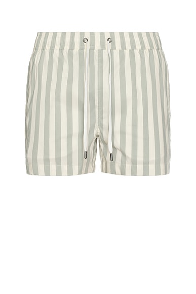 Charles 4" Swim Trunk