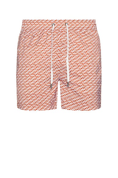 Charles 5" Swim Trunks