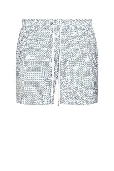 Charles 5" Swim Trunks