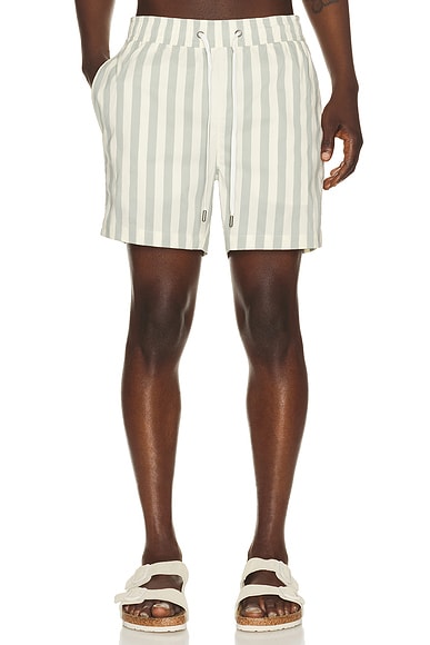 Charles 5" Swim Trunk