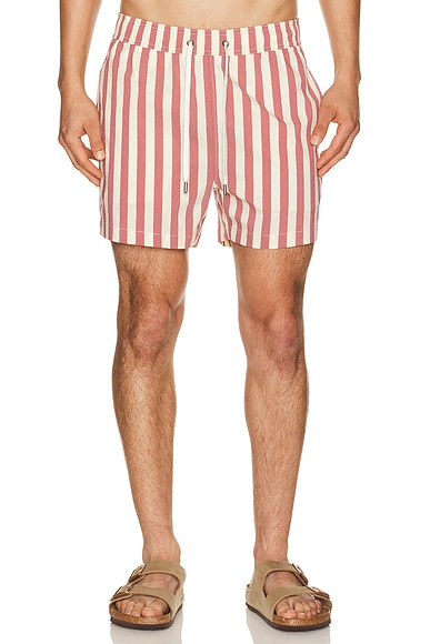 Charles 4" Swim Trunk