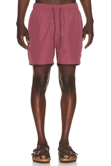Charles 5" Swim Trunk