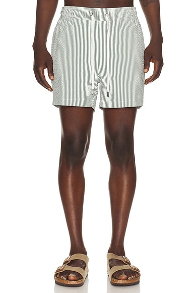 Charles 4" Swim Trunk