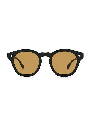 Oliver Peoples Boudreau L.A Sunglasses in Black & Cognac