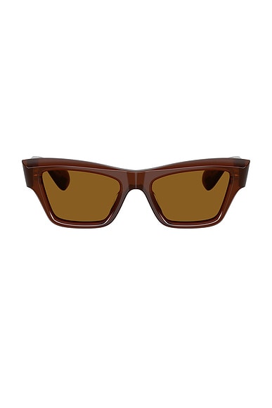 X Jil Sander Cat Eye Sunglasses