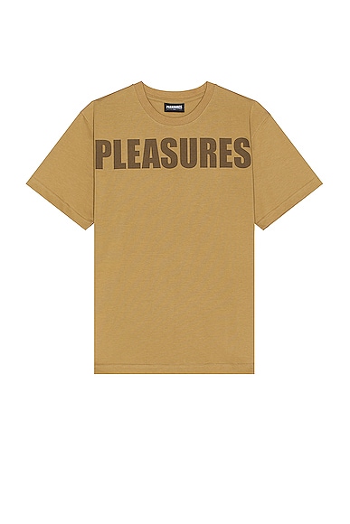 Pleasures Expand Heavyweight T-shirt In Brown