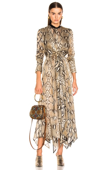 Delhi Dress