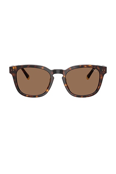 Polo Ralph Lauren Square Sunglasses in Brown