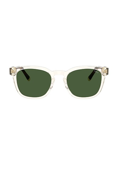 Square Sunglasses