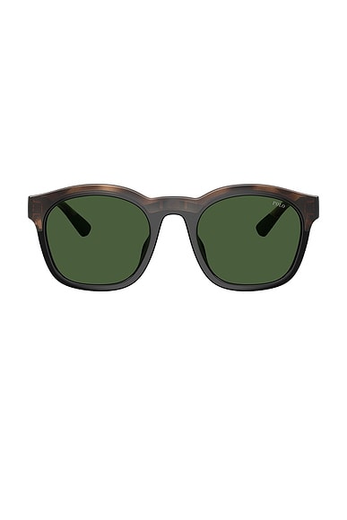 Square Sunglasses